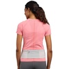 Nathan Zipster Max Running Belt, Running Belts for Women and Men, Bounce-Free Waist Pack with Extra Large Zipper Pocket, Smartphone Storage, Walking, Gym, Hiking(Vapor Grey/Sailor Blue)